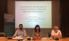 O panorama da situação atual da maconha no Brasil: as demandas legais pelo cultivo caseiro