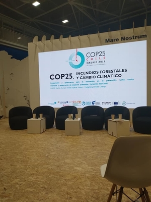 Participação na COP25