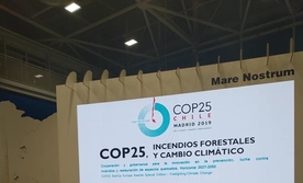 Participação na COP25